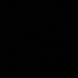 Meet your Posher, Zanna